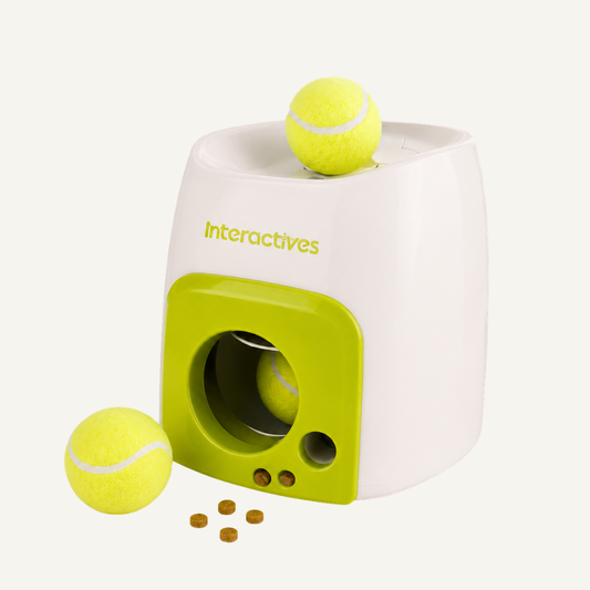 Máquina de Recompensa Interactiva para Perros