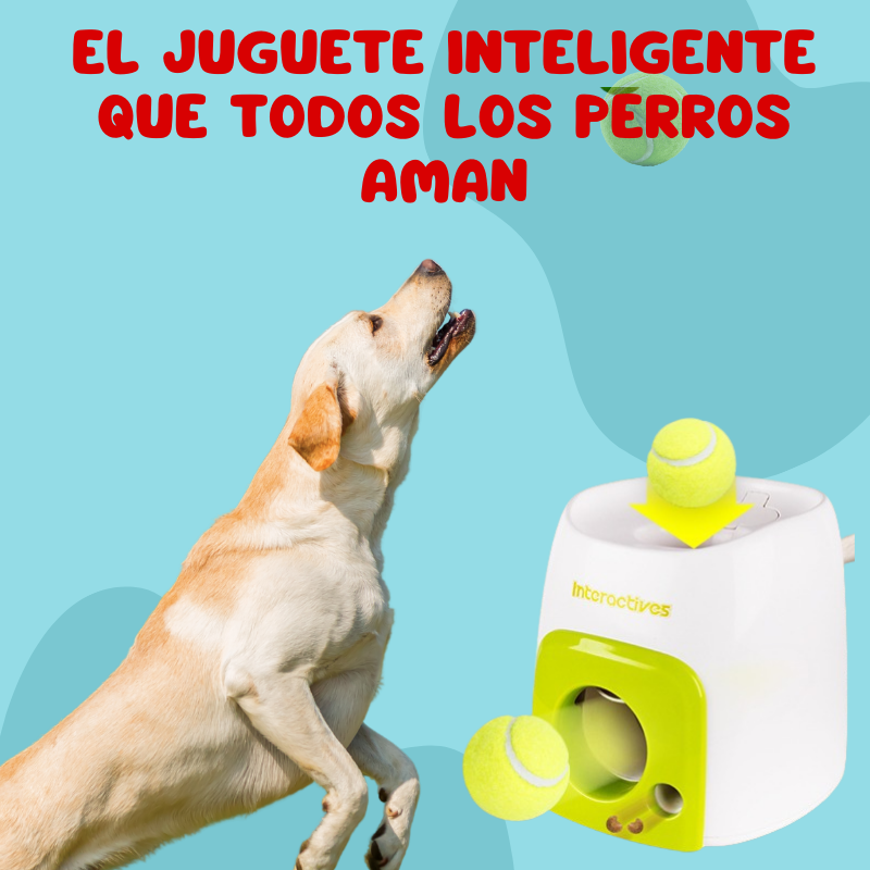 Máquina de Recompensa Interactiva para Perros