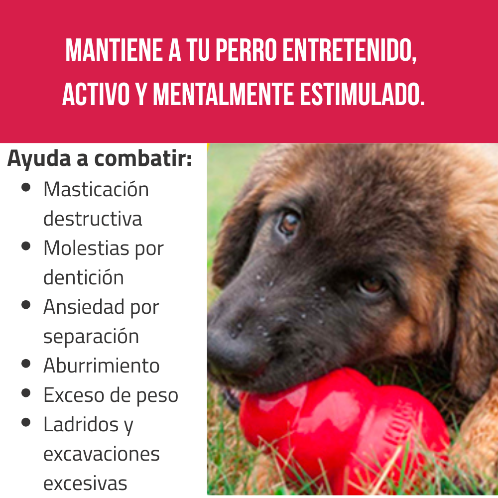 KONG Wobbler Juguete Interactivo  para Perros