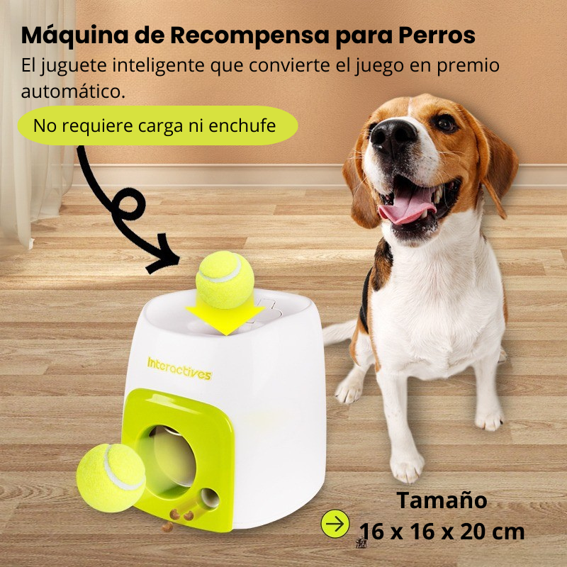 Máquina de Recompensa Interactiva para Perros